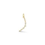 Large Crescent Charm