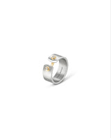 "Paris From Sky" Titanium Ring