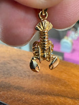 LOBSTER