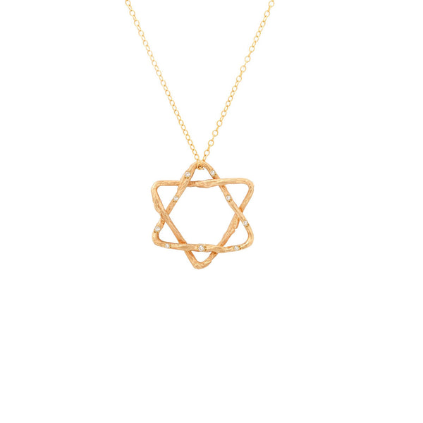 Star Of David Willow Necklace
